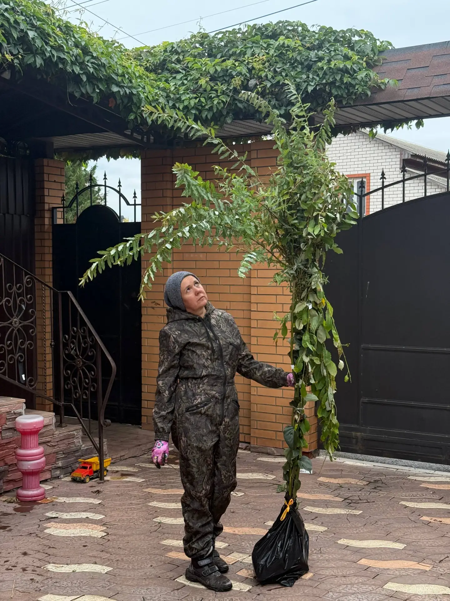 А я уже запустила на своей испытательной грядке новый проект 🌱