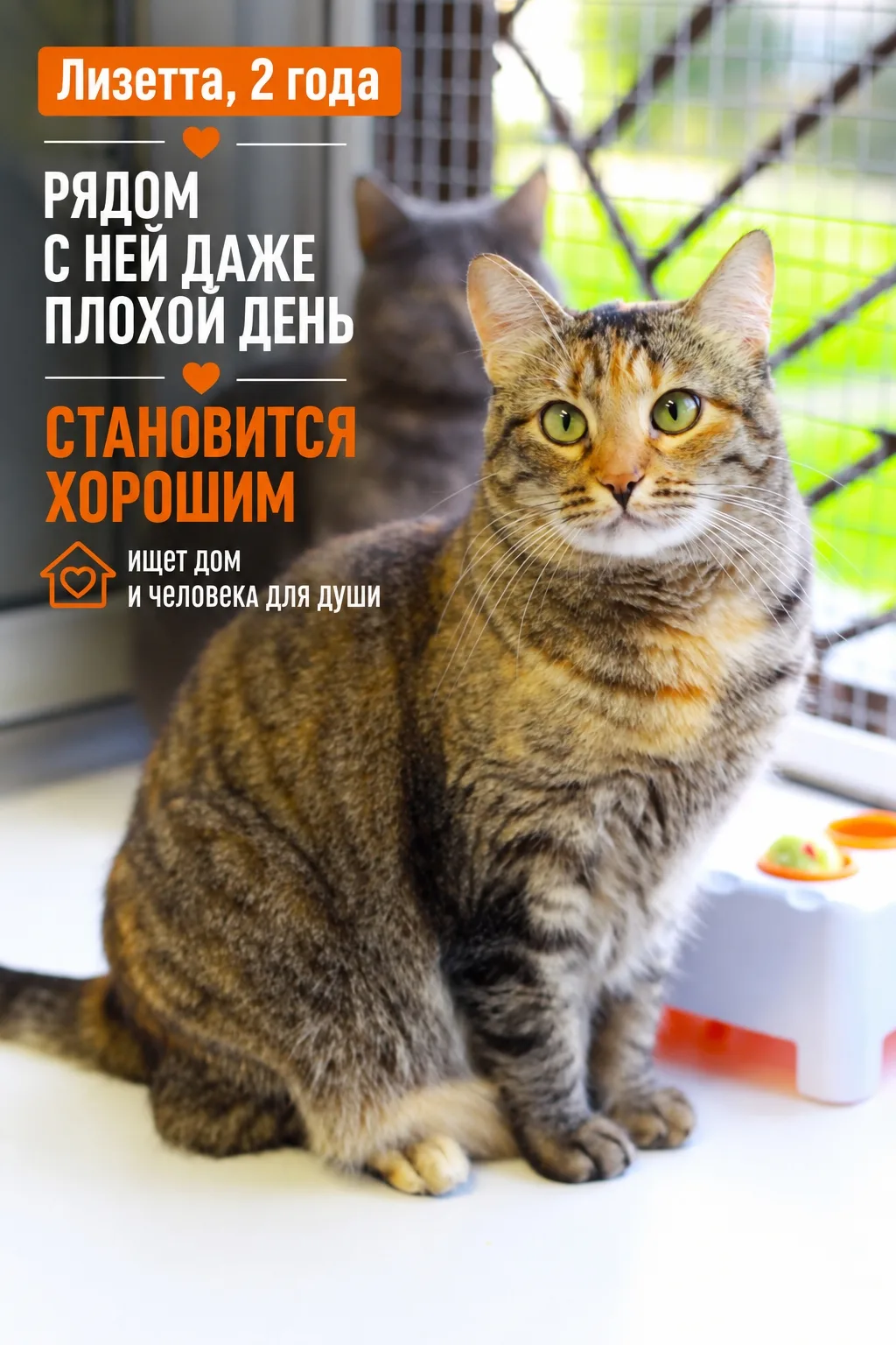 Как же хороша наша Лизетта! А как хорошо рядом с ней вы даже не представляете!