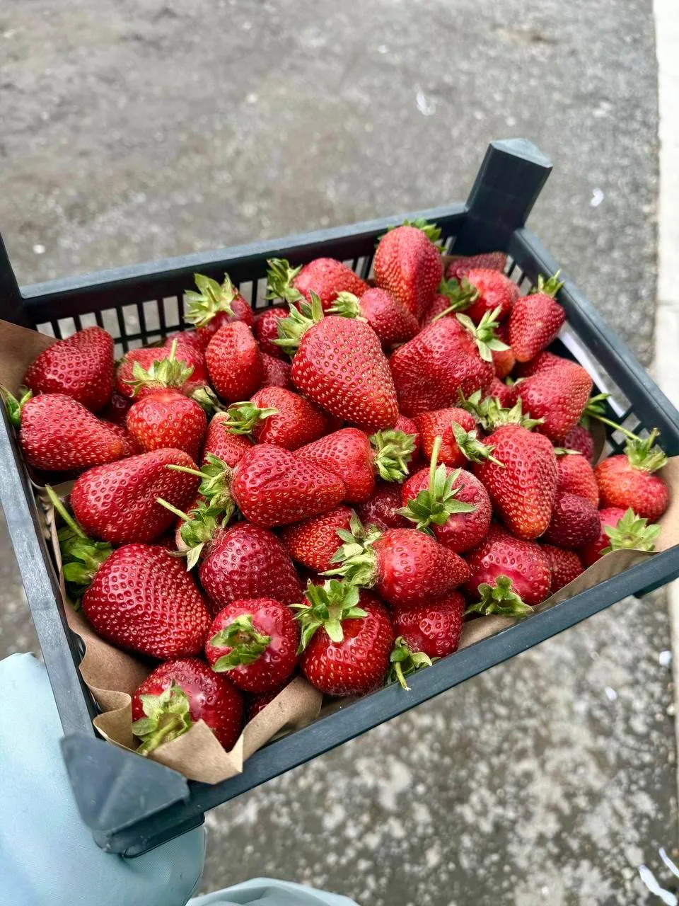 🍓 СЕГОДНЯ - СВОБОДНАЯ ПРОДАЖА 🍉  Ждём вас сегодня, 18.05, на свободной продаже 🤍 Можно приехать без 
