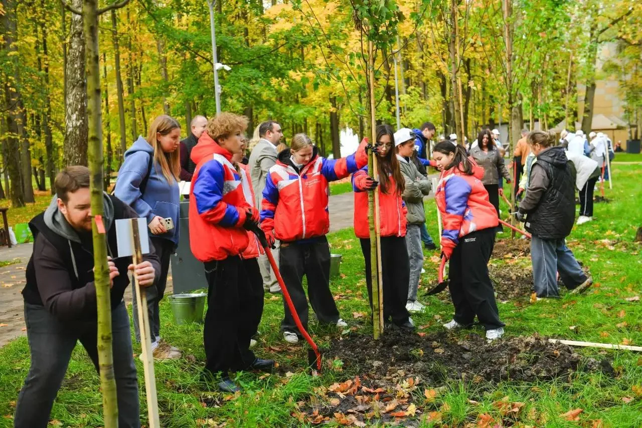 🌳 В парке имени Л. Н. Толстого в Химках высадили клёны в рамках акции «Сохраним лес».