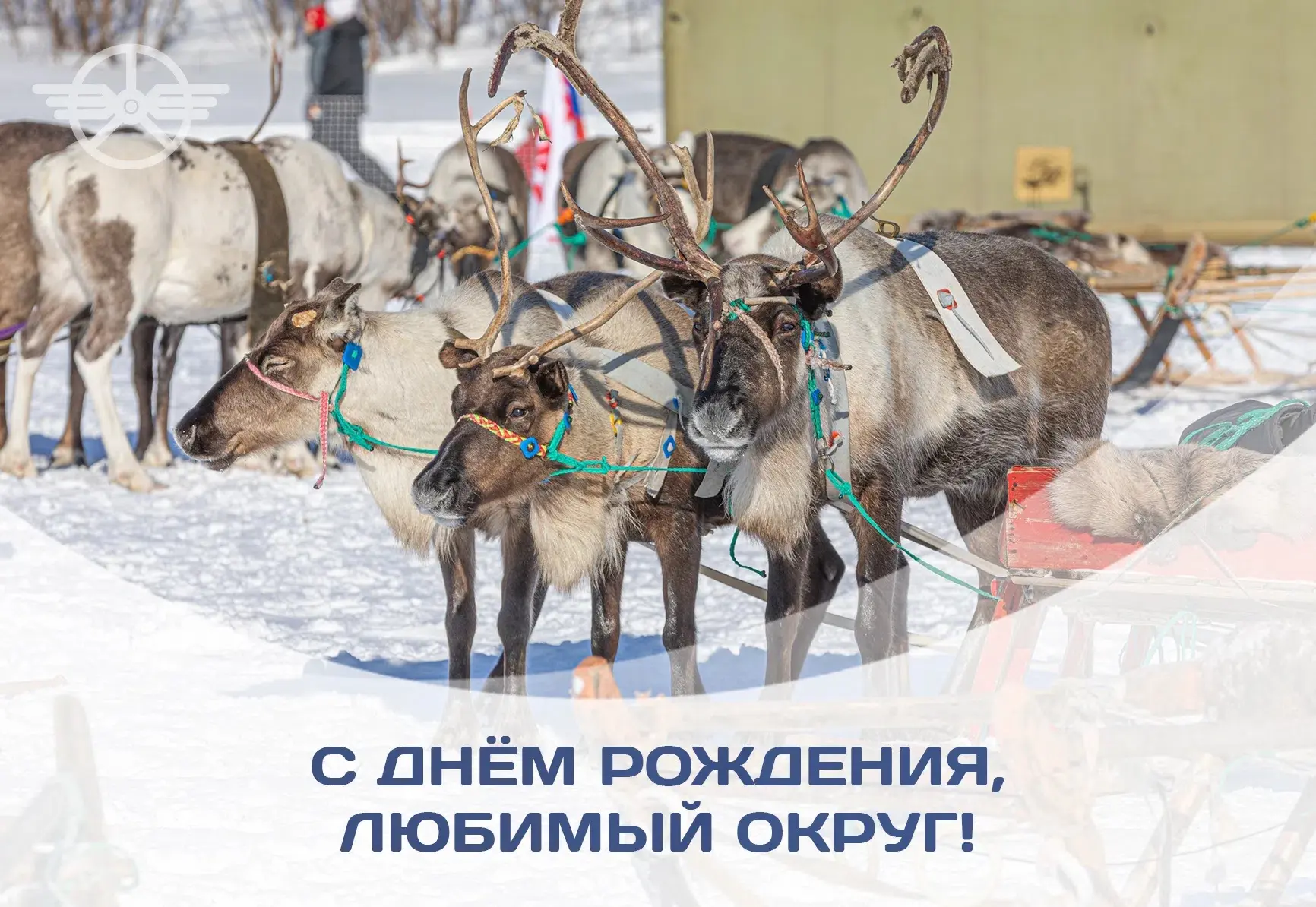 Ненецкому автономному – 97 лет 💙

Живя здесь – тяжело расставаться, однажды приезжая – невозможно з