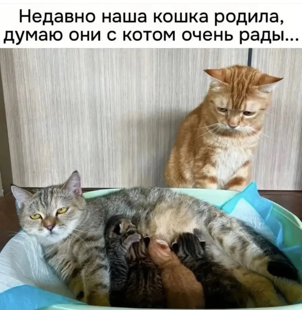 Самая счастливая семья