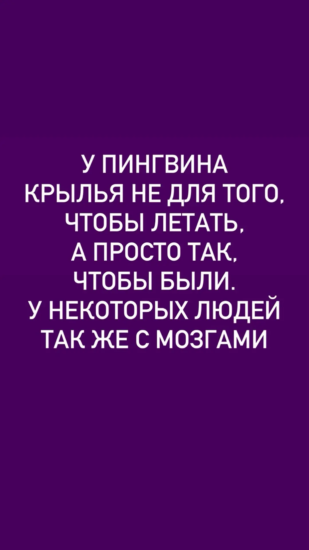 Всем фешенебельного четверга!