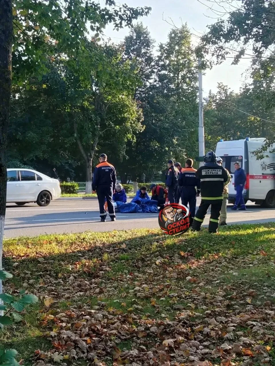 В районе бульвара Дружбы сбили пешехода, который перебегал дорогу в неположенном месте....