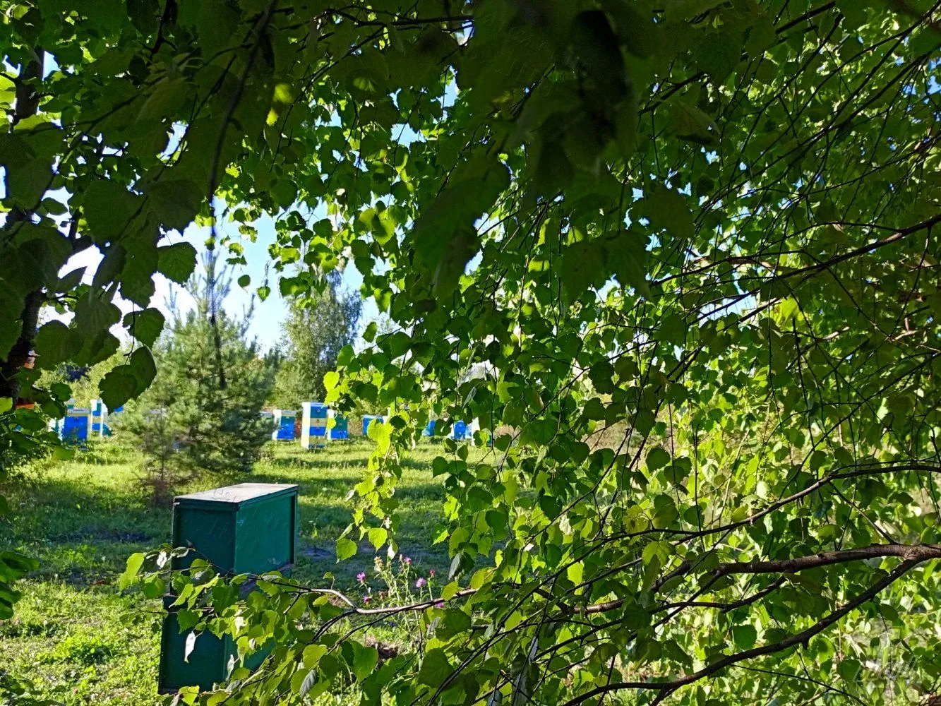 Доброе утро, друзья! Пусть на душе будет тепло и уютно. Желаем вам с легкостью воплотит...