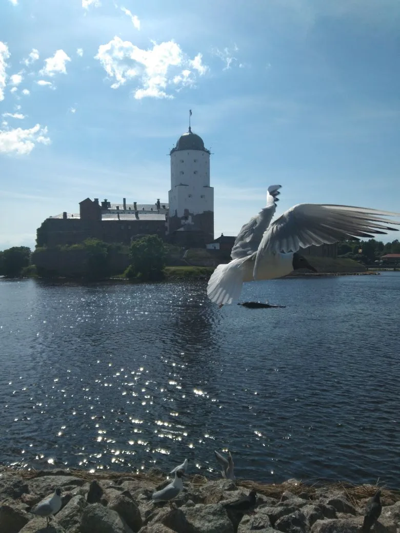Коротко о погоде🌅

Сегодня переменная облачность, воздух прогреется до +18, ветер южный, 5 м/с.

По