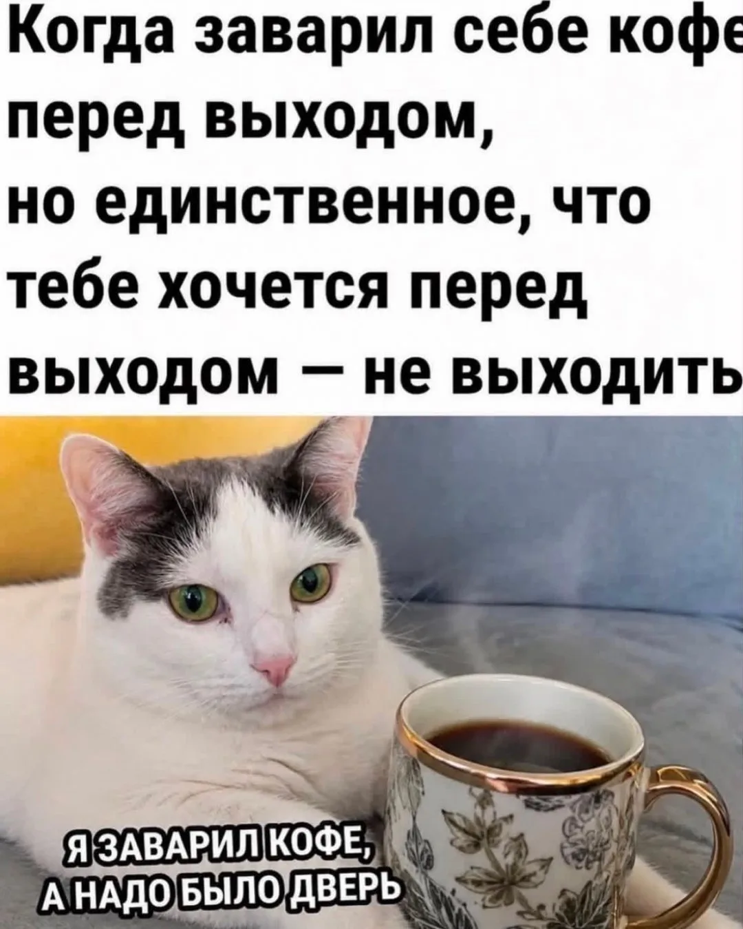 Пятница, добро пожаловать! Желаем всем лёгкого дня. А если день лёгким не будет — пусть...