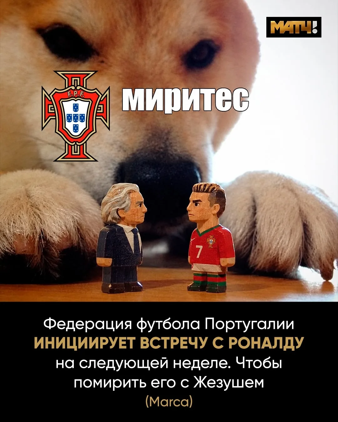 🤝 Поругались, и хватит. Помирить Криша и Жезуша – цель федерации футбола Португалии