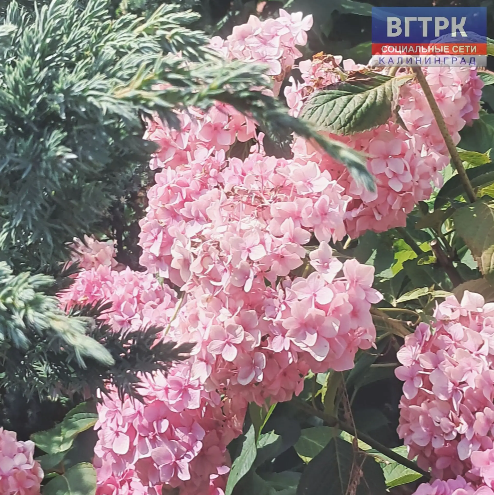 ☀️❤️Доброе утро, друзья!

👀☝️Вторник – не понедельник, и это уже маленькая победа. Пусть день сложи