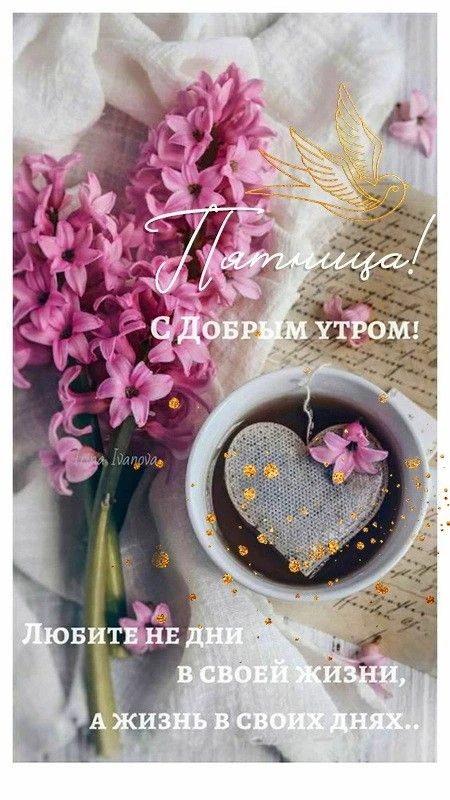 https://max.ru/invista123456