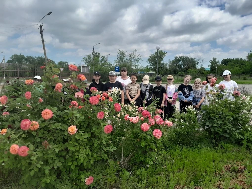 В рамках Дня единых действий "Сохраним природу Ставрополья" проходит Всероссийская акция «День юннат