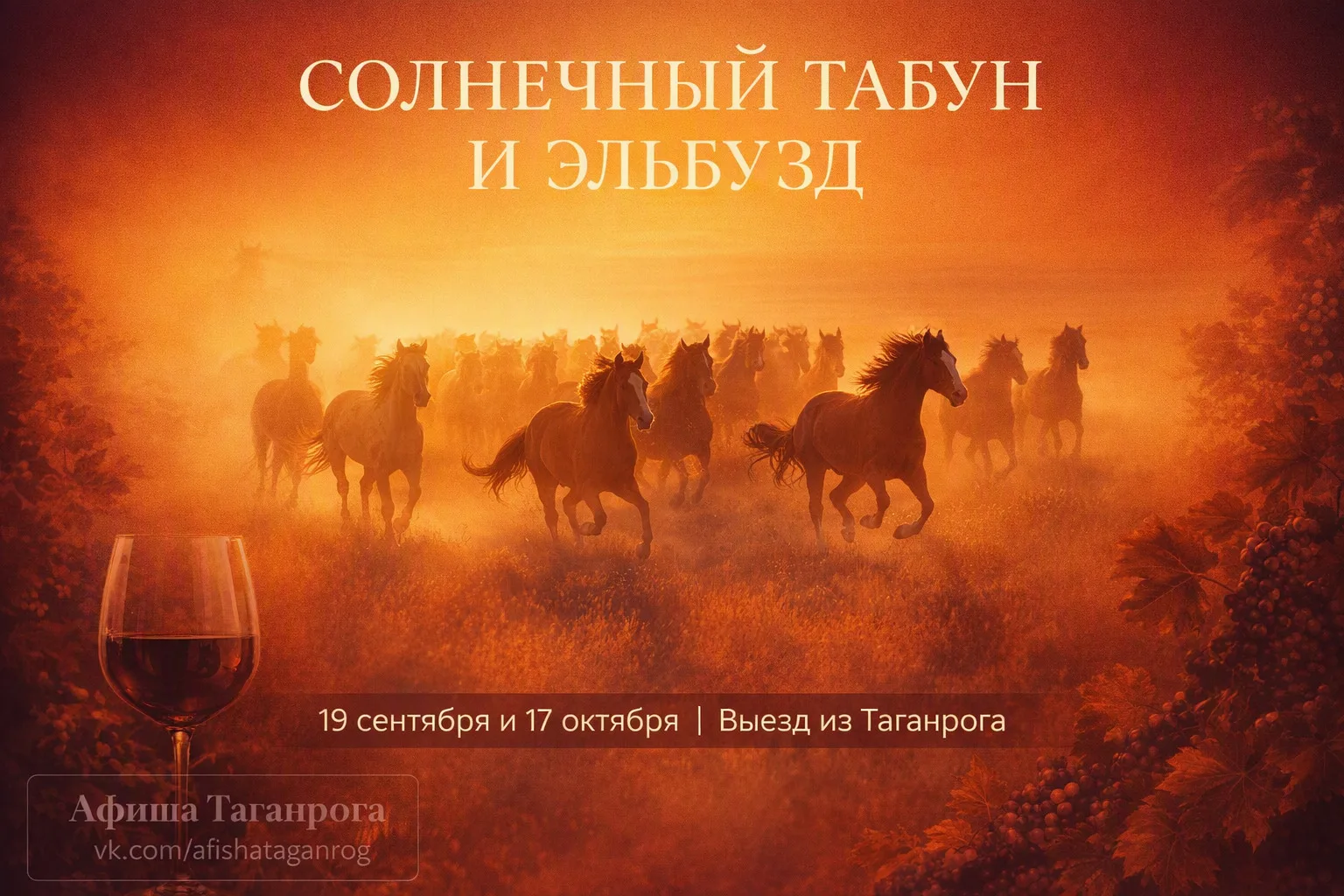 Поездка к донским скакунам и на винодельню «Эльбузд» 🐎