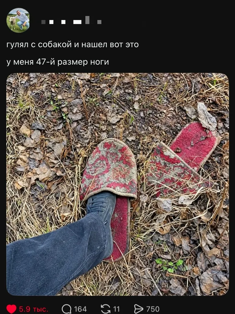 Найден медвежий тапочек! Мишки тоже любят уют 🥰