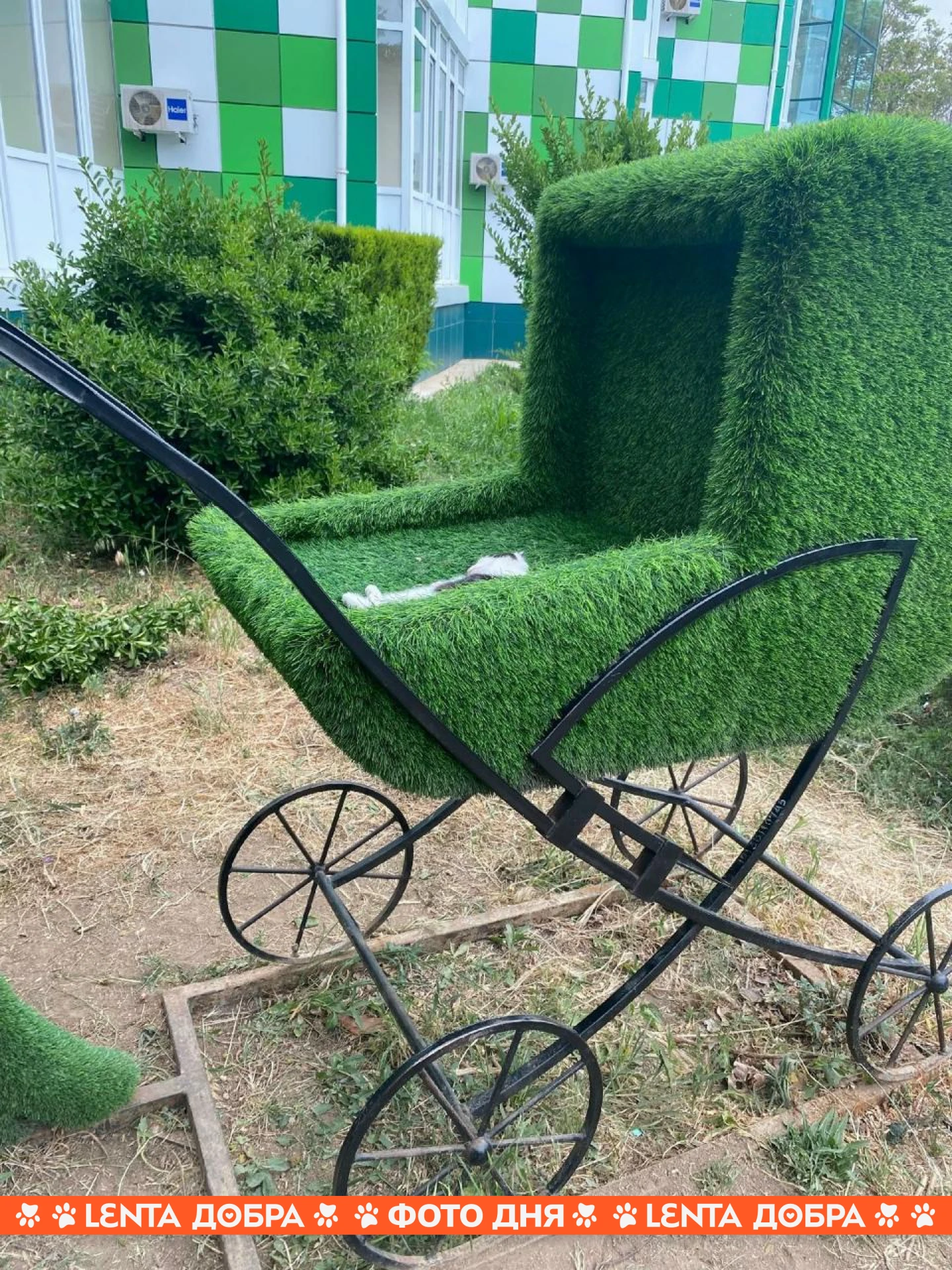 🥰 Фото дня: колясочка по размеру