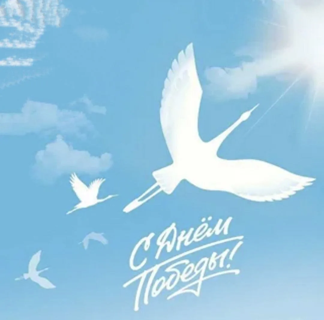 С Днём Победы!🕊️ 
Пусть этот великий праздник наполнит сердце светлой памятью, тихой благодарностью