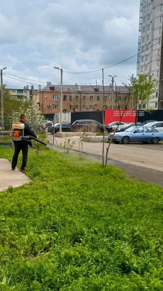 К новости «🛡️ Территория без сорняков!»