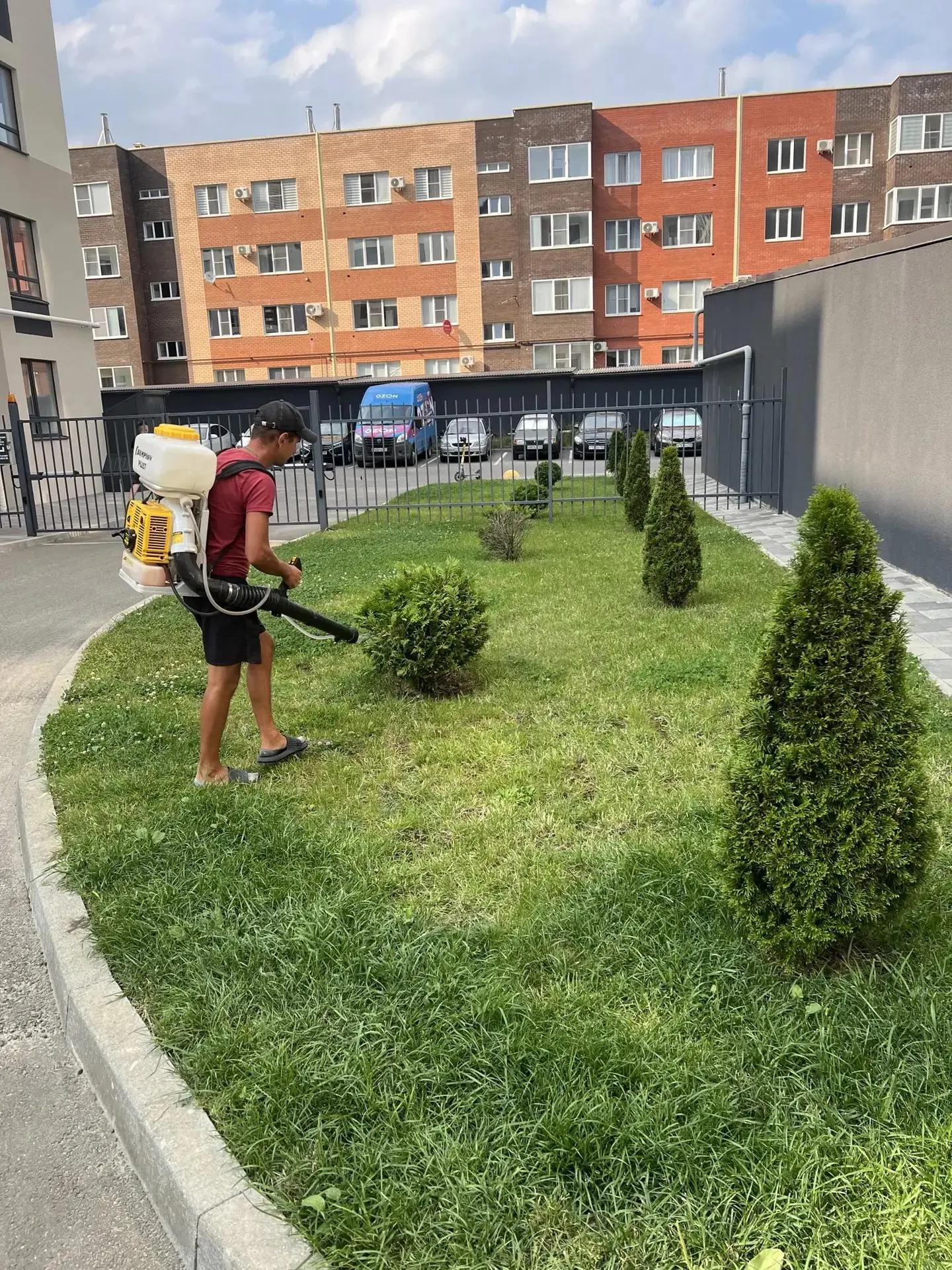 В рамках работ по содержанию озеленения выполнена обработка растений антистрессовыми пр...