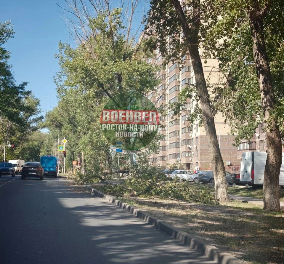 Уважаемая администрация, примите меры по уборке, на остановке теперь все эти упавшие ве...