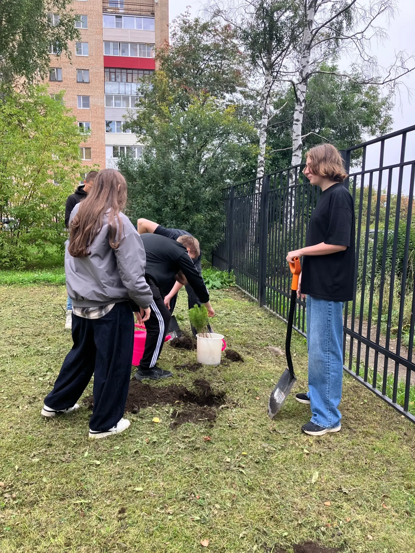 🌳 Первоклассное дерево!