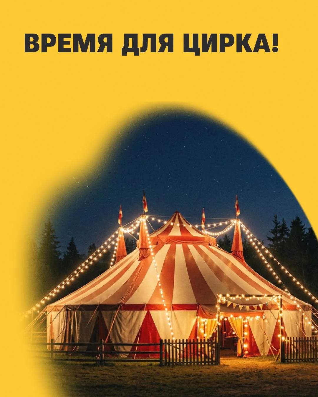 🎪 Где можно увидеть настоящее чудо?
