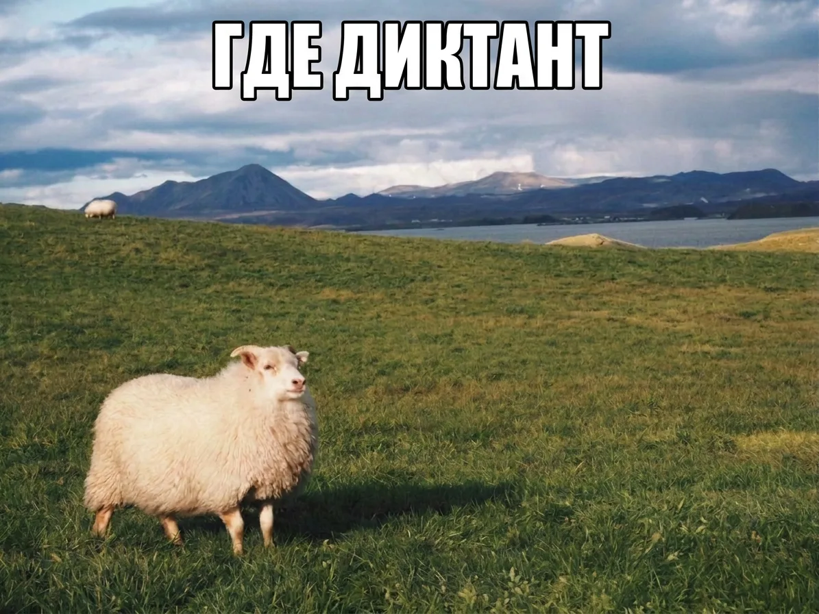 КТО ЗДЕСЬ САМЫЙ ГРАМОТНЫЙ❓