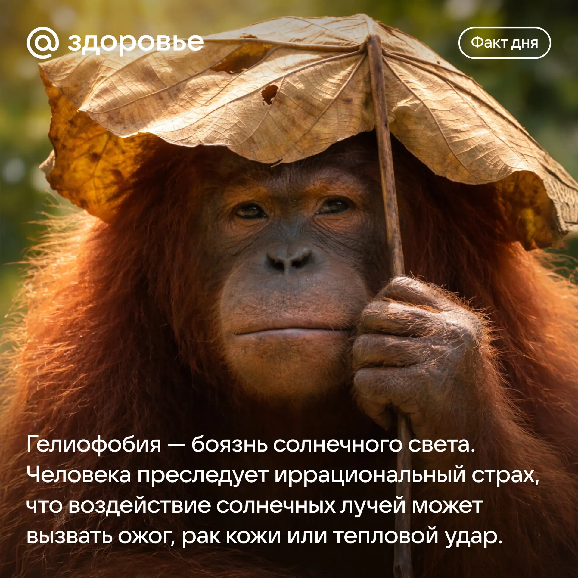 Хорошего дня! ☺️