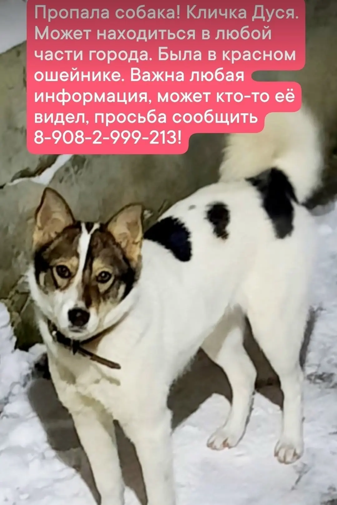 Мы в Макс -