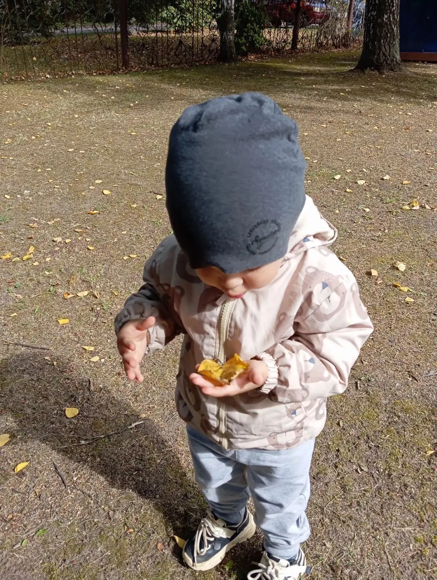 Сентябрь радует нас погодой, а мы радуемся осени! 🍂  Сегодня на прогулке малыши