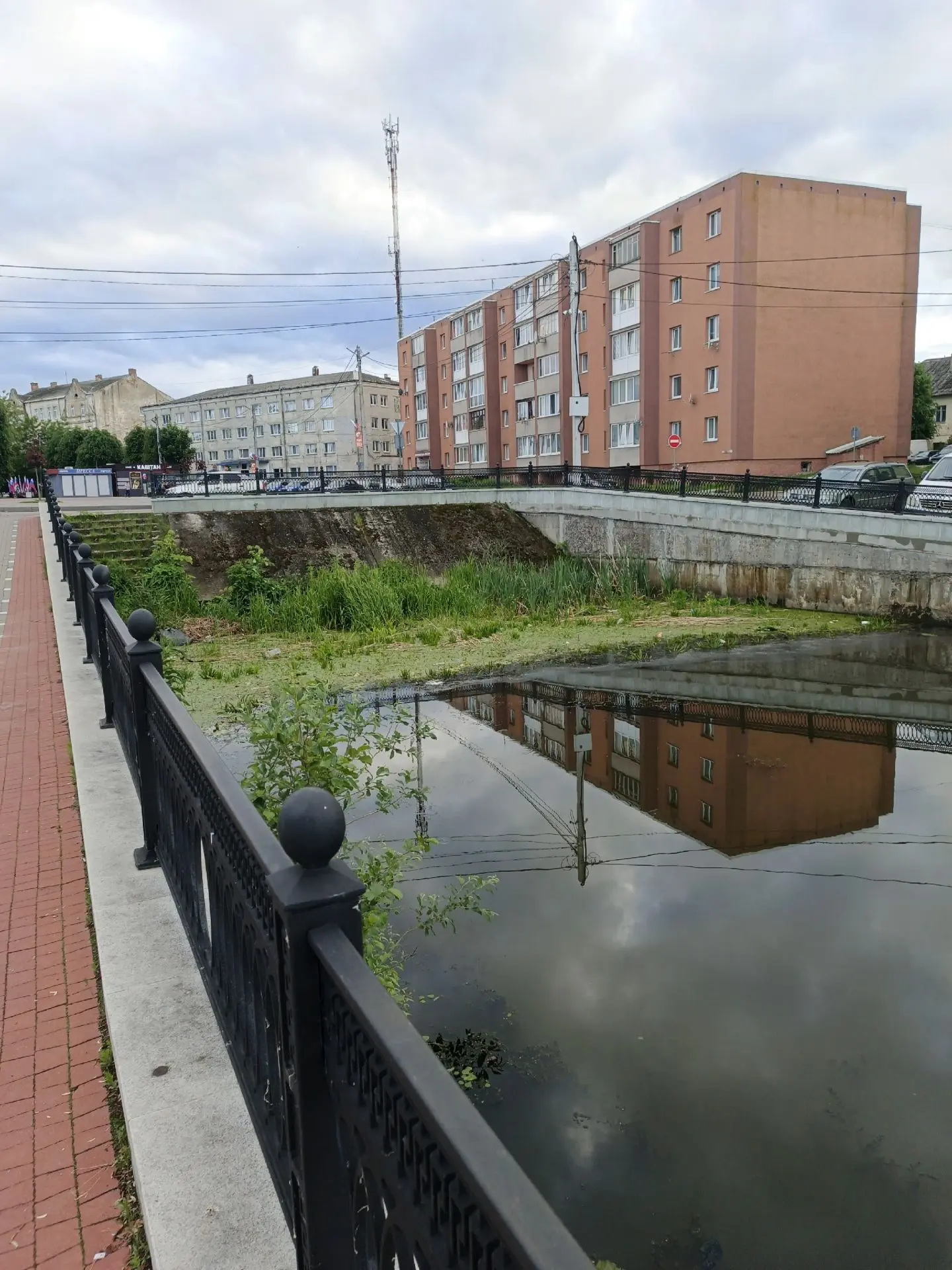 Срач в центре города👎