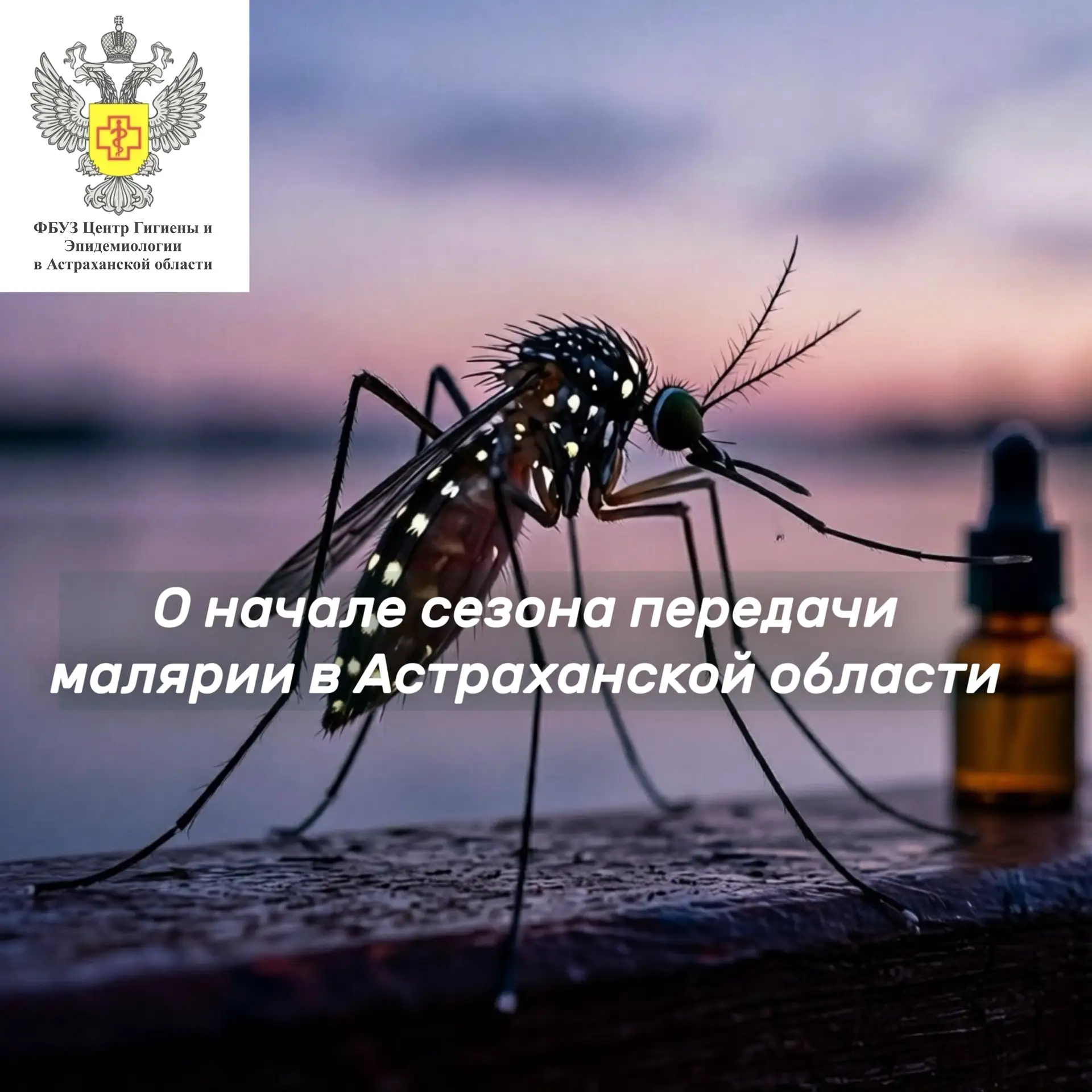 🦟⚠️ О начале сезона передачи малярии в Астраханской области