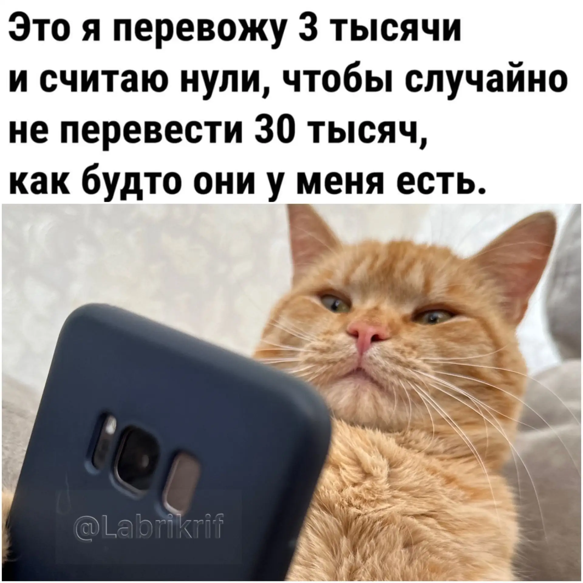 - Алоэ.