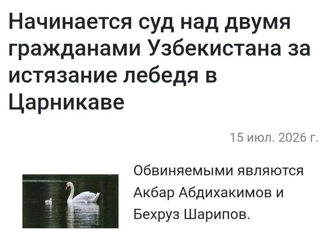 В Латвии два узбека изнасиловали и убили лебедя.