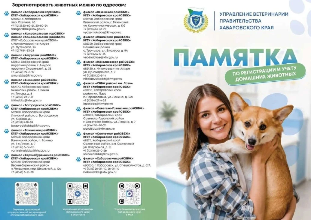 О правилах содержания домашних животных в Хабаровском крае 📜🐩🐈