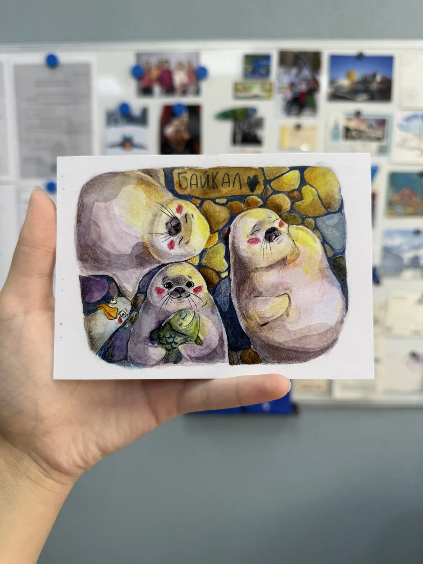 Открытка с байкальскими нерпами😍