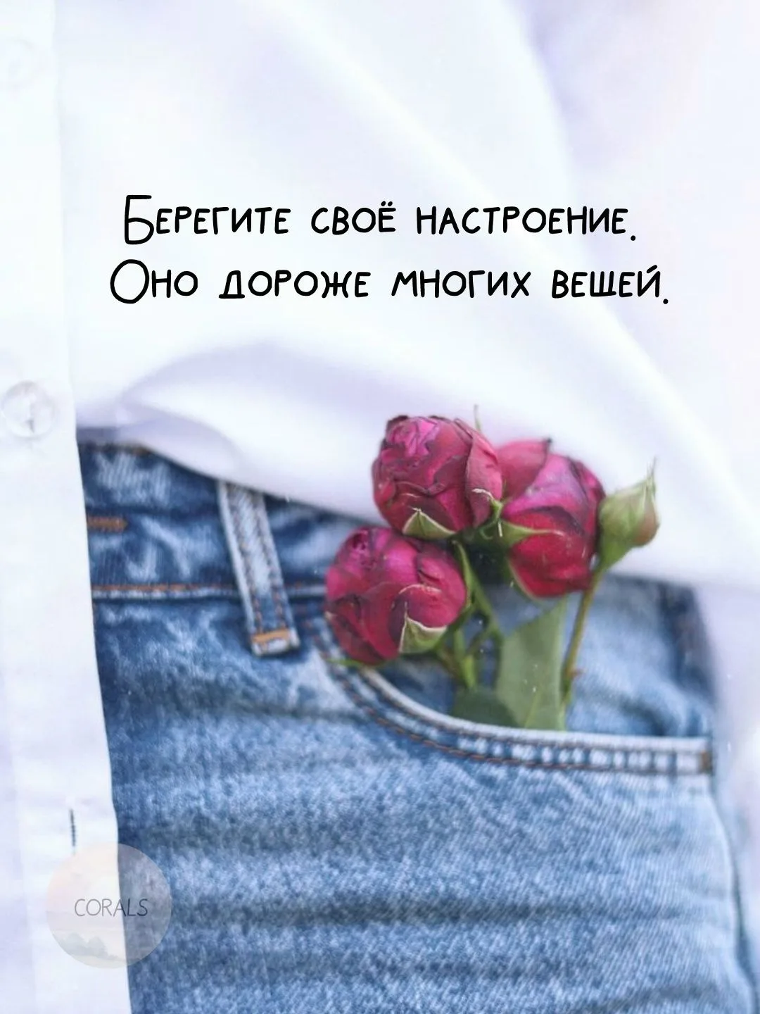 Для приятного вечера из новинок кино можно посмотреть «Проект „Конец света"» (2026). У ...
