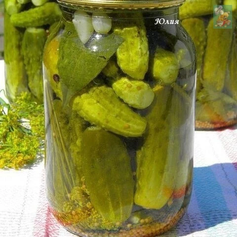Маринованные огурчики (семейный рецепт )
Хочу поделиться с Вами простейшим и быстрым рецептом,которы