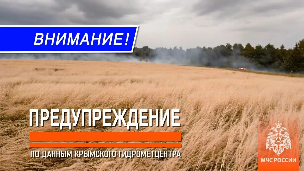 Чрезвычайная пожарная опасность и ветер до 20 м/с сохранится в Крыму 29-30 августа
