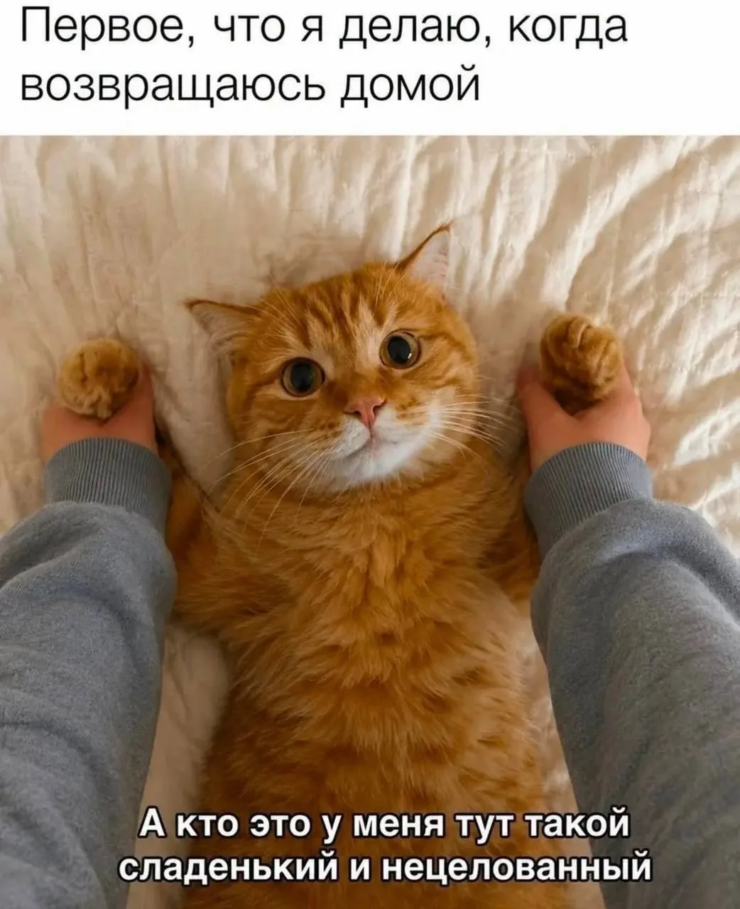 Девчата - Подписаться