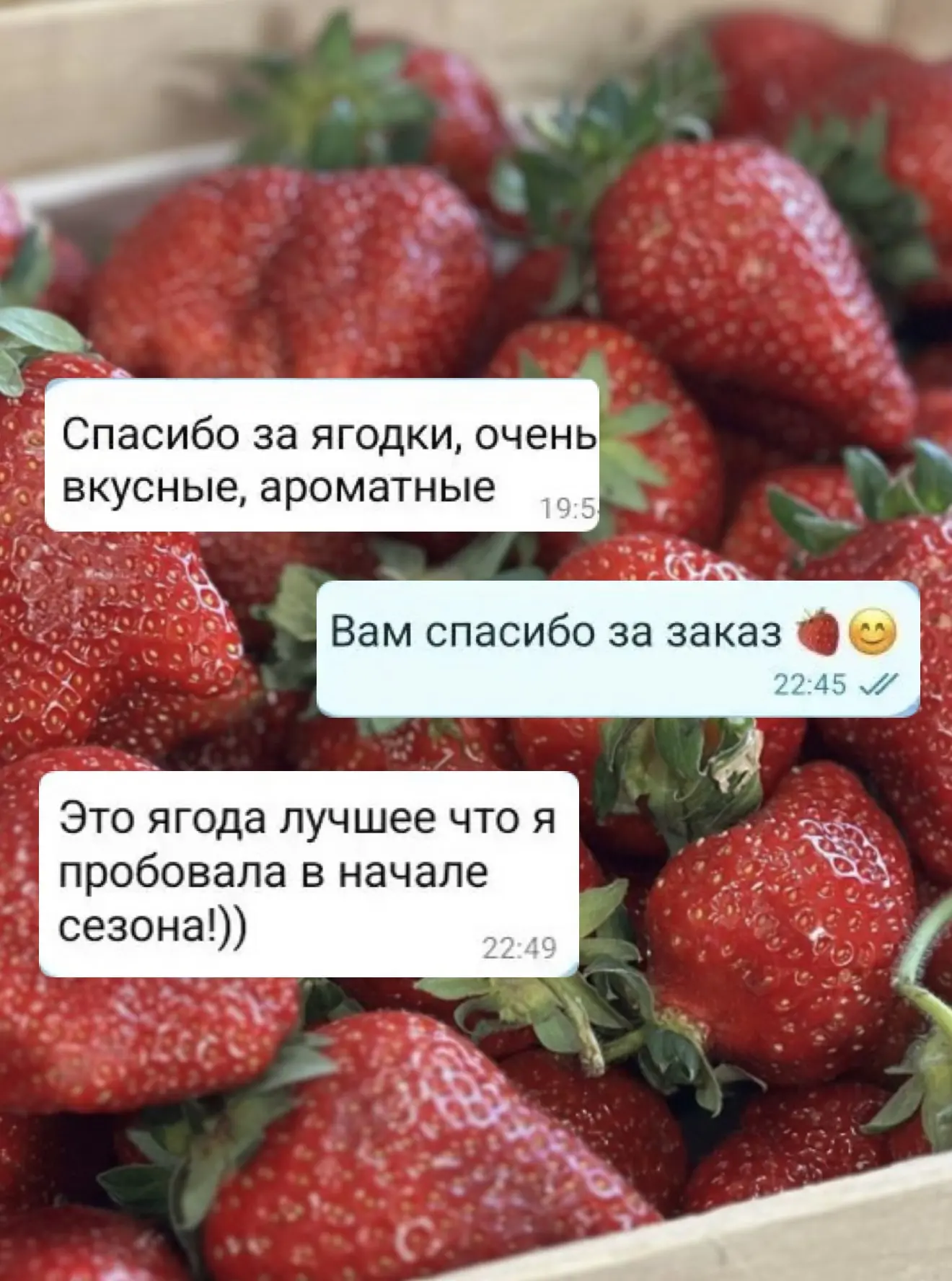 Благодарим всех за ваши отзывы ❤️ Нам очень приятно, что наши ягодки пришлись вам по вкусу!   Мы дей