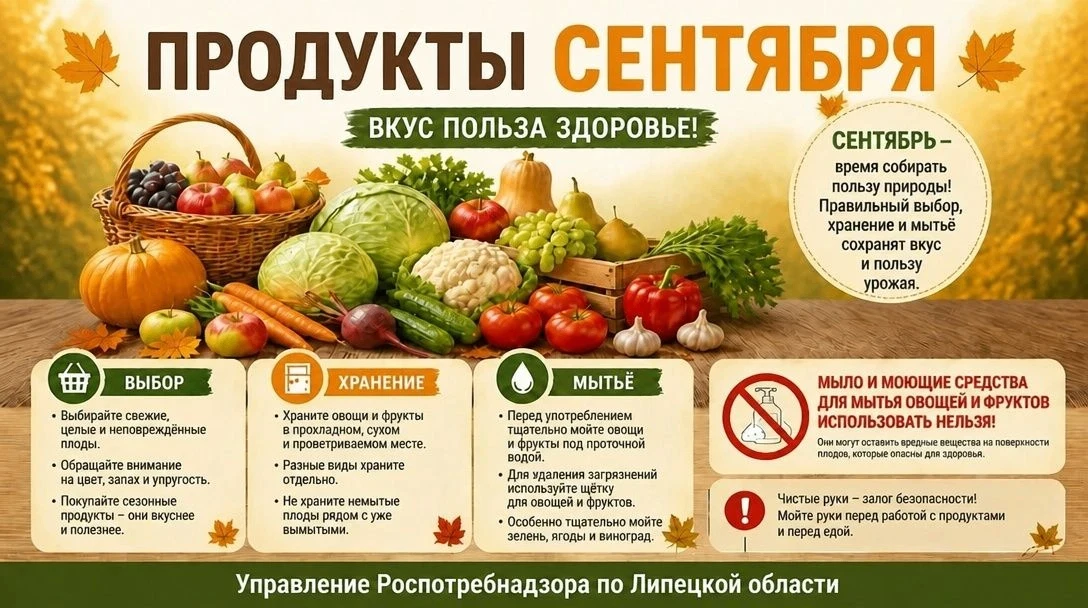 🍂 СЕНТЯБРЬ НА ТАРЕЛКЕ
