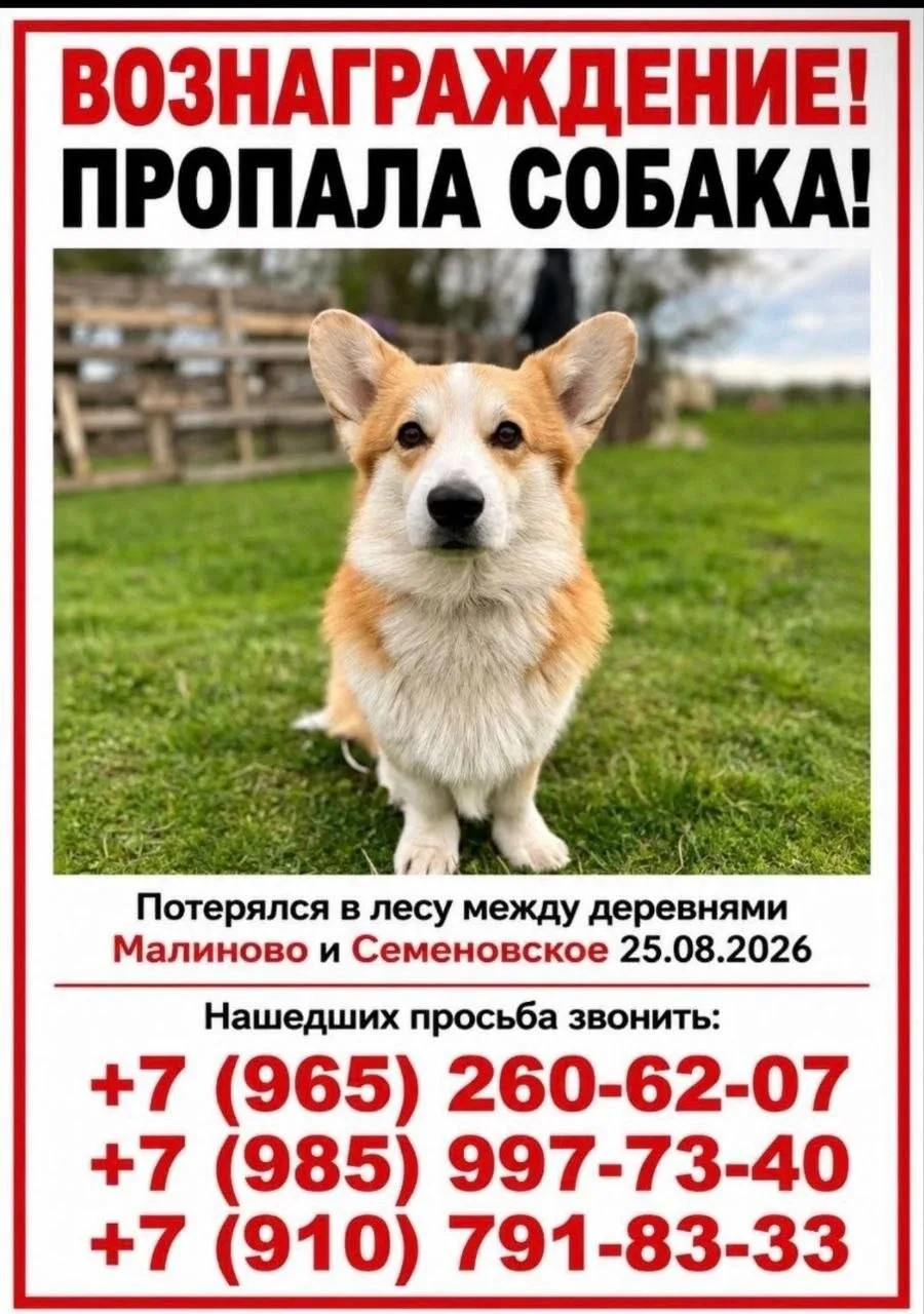 АПД. Нашелся