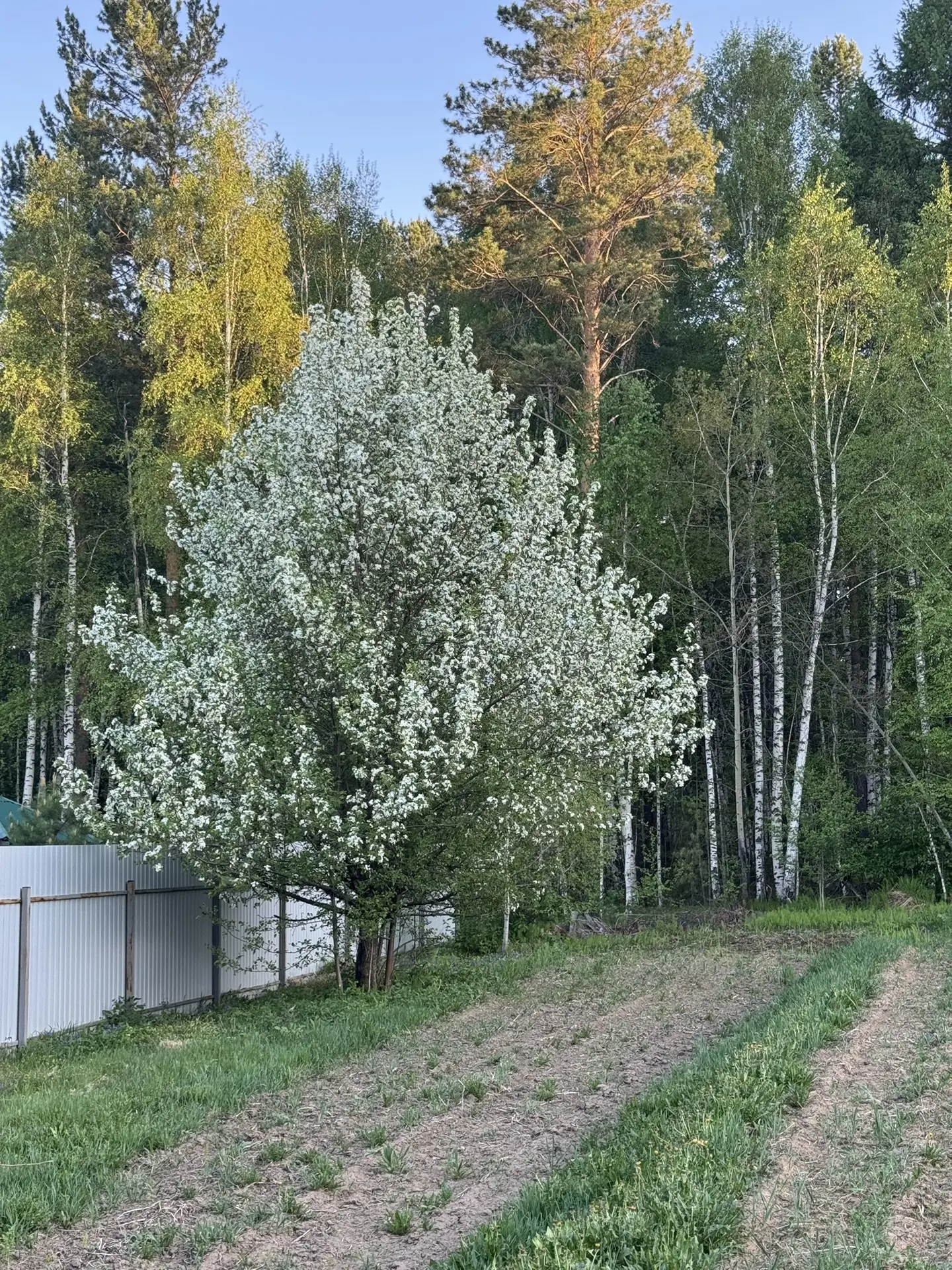 Дом 🏡 строительство 🦺