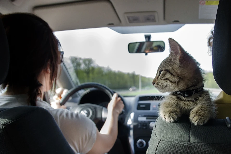 🚘Как вести машину и грамотно планировать путь, чтобы потратить меньше бензина