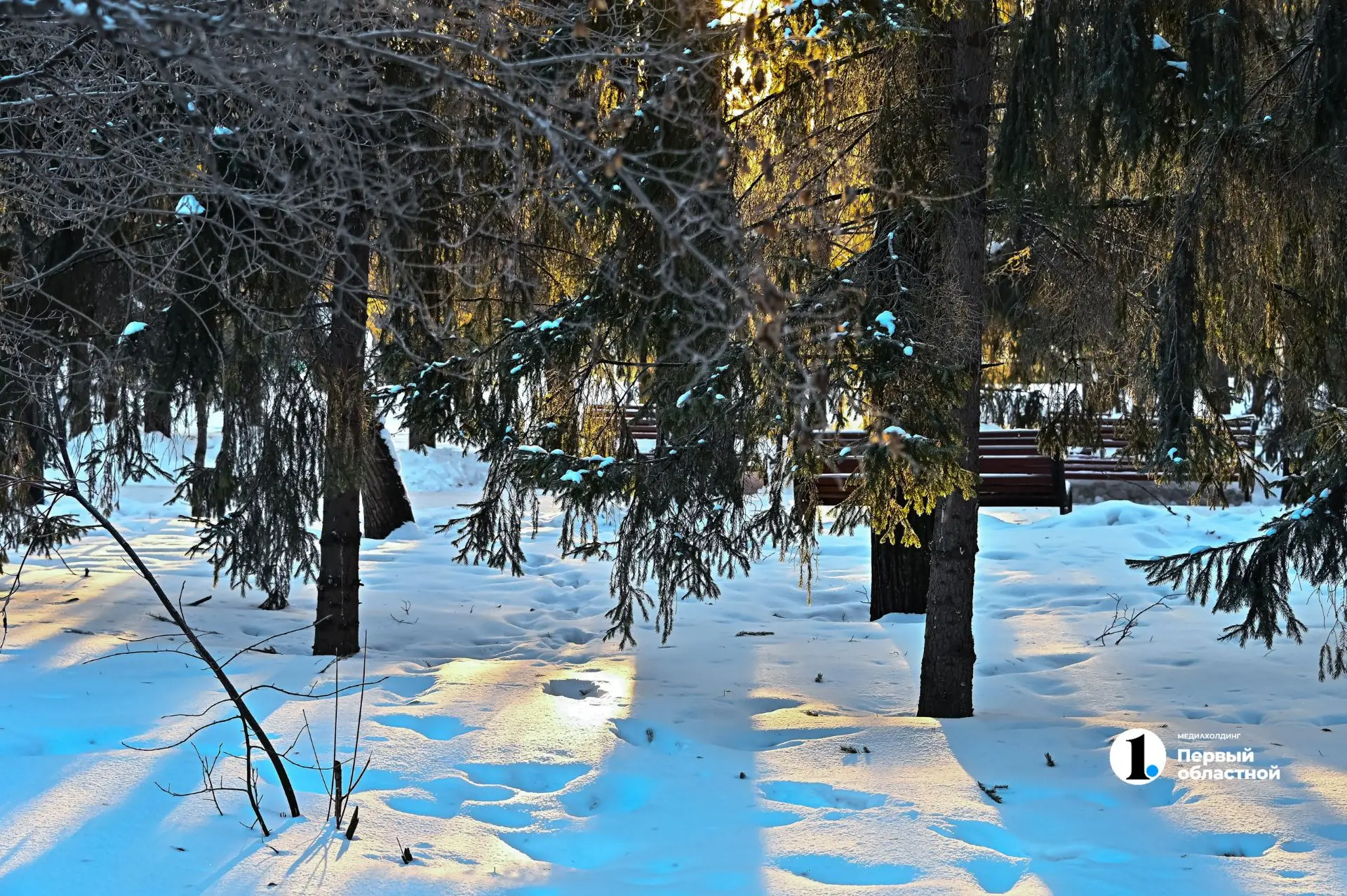 ❄️Снежный покров в Челябинской области достиг 20 см к утру 5 октября