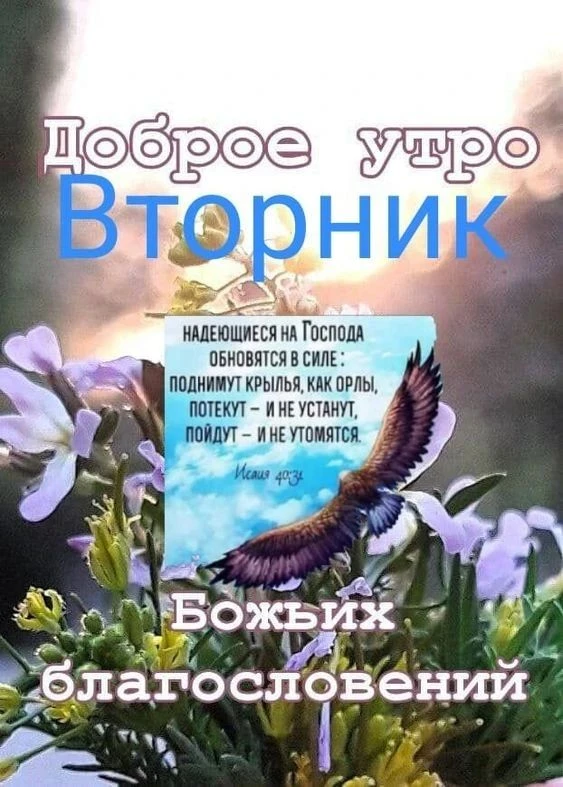 📆 Сегодня – День георгин.