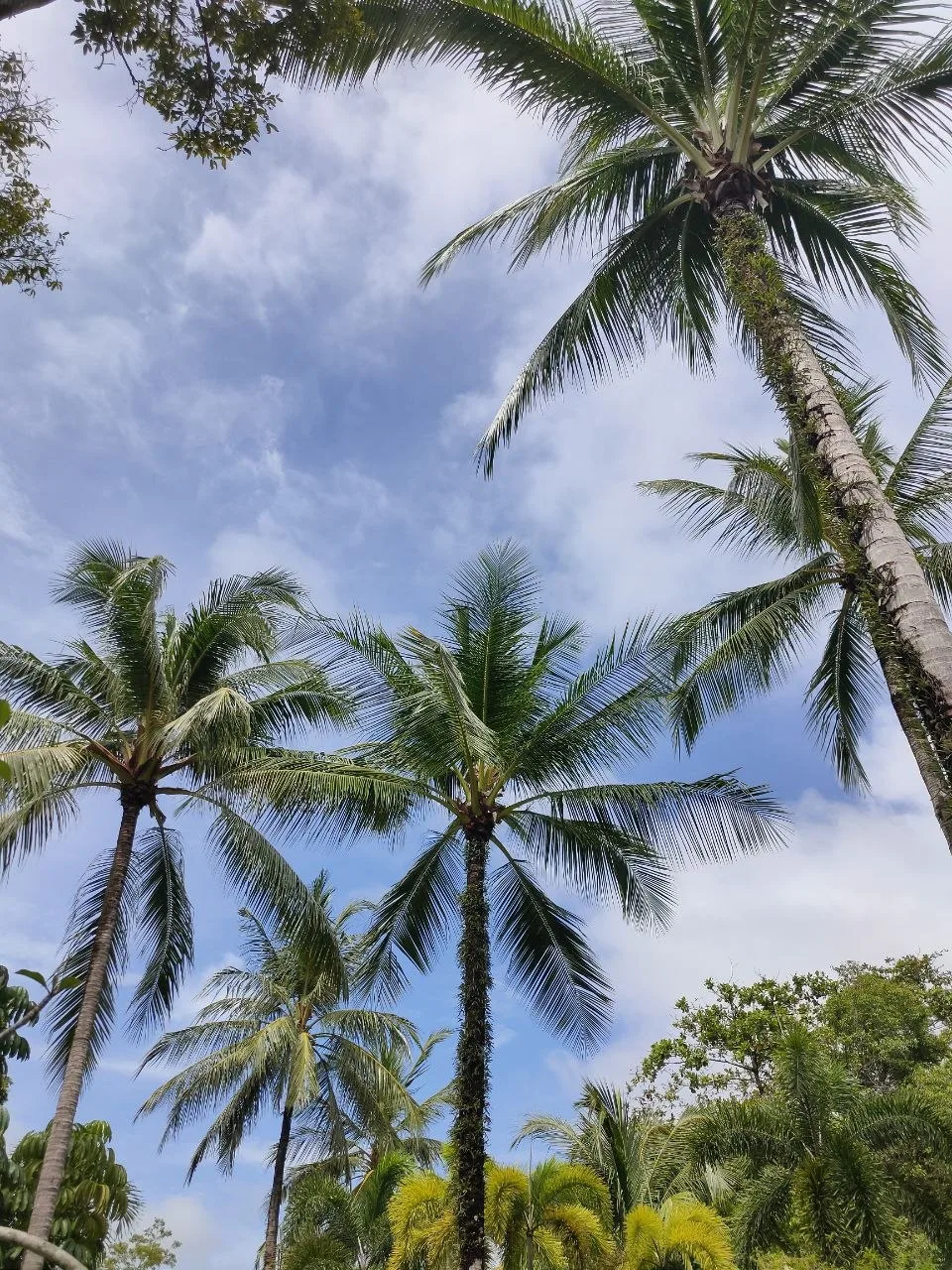 🇹🇭 Таиланд, Пхукет