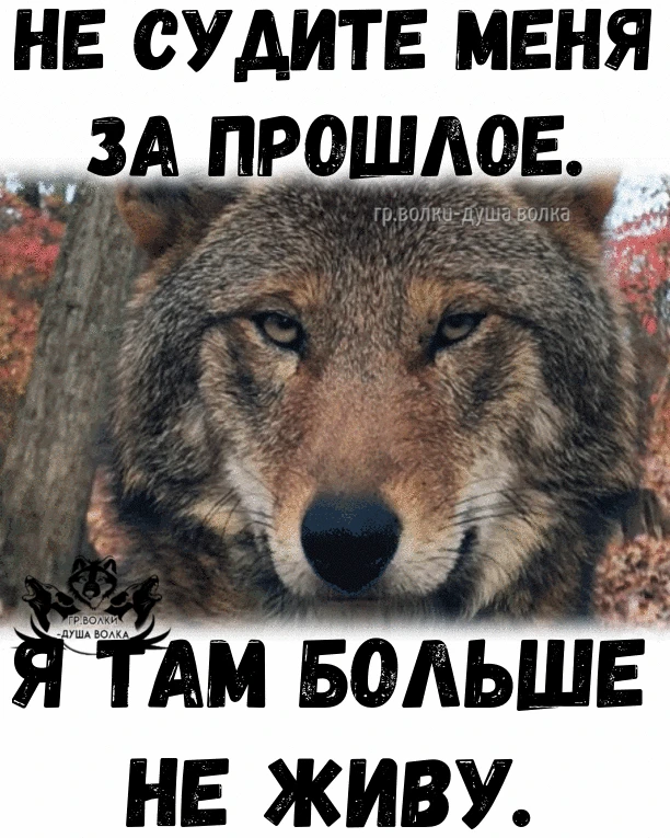 Каждый из нас меняется со временем, и прошлое не всегда отражает нас сегодня. А вы прощ...