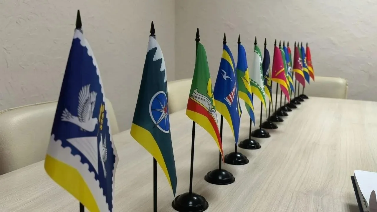 🚀16 школ Солнечногорска получили собственные гербы
