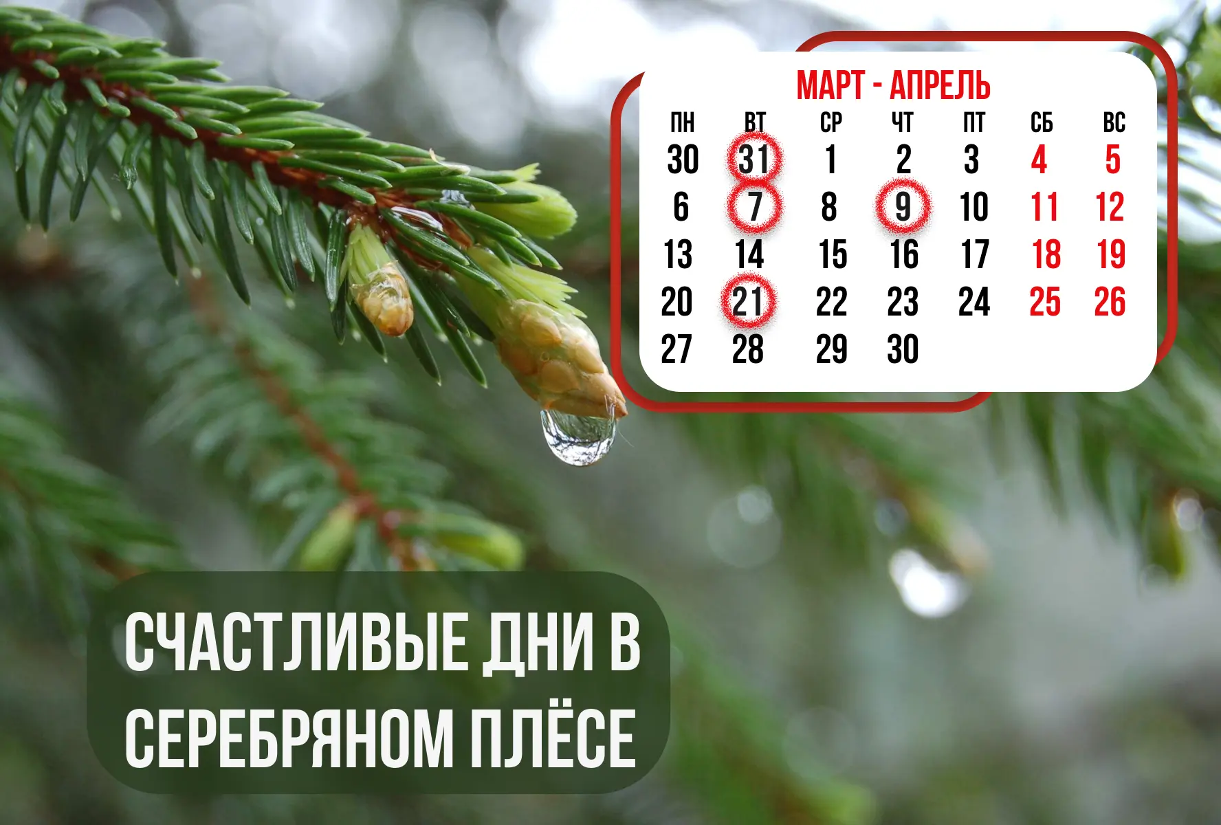 💥НА 15% ВЫГОДНЕЕ