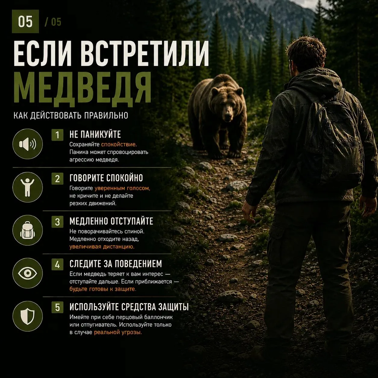 Встретить медведя в лесу – ситуация, к которой лучше быть готовым заранее.